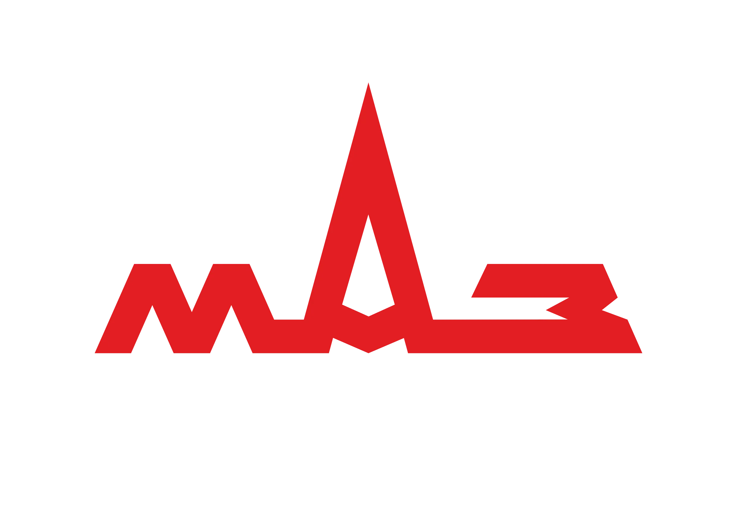 Маз - Оптовий продаж.