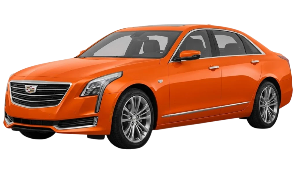 CT6 - Оптовая продажа.