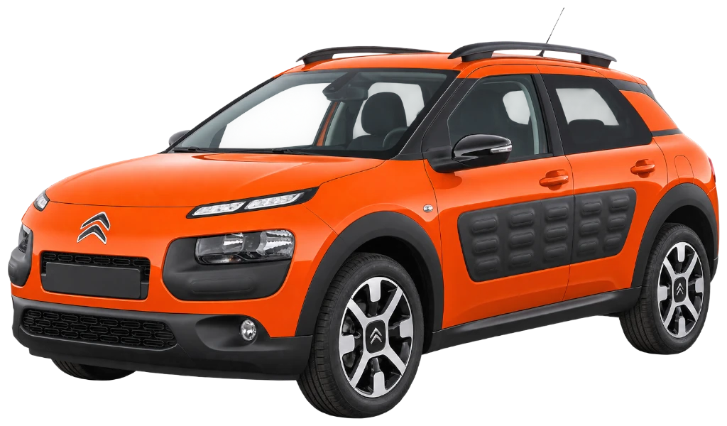 C4 Cactus - Оптовий продаж.