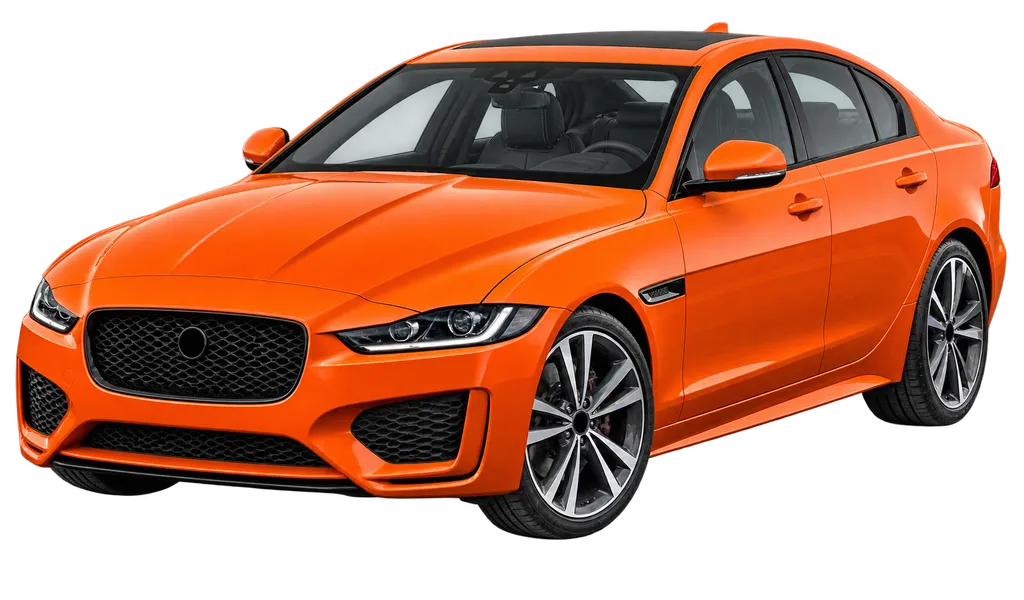 Xe - Wholesale supply.