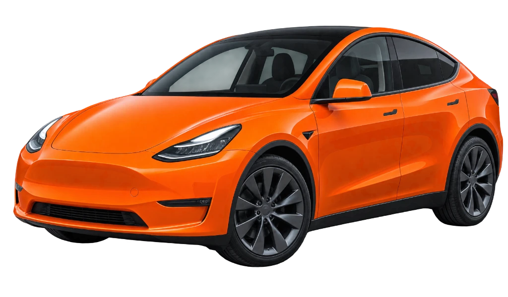 Model Y - Оптовий продаж.