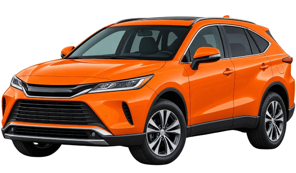 Venza - Оптовий продаж.
